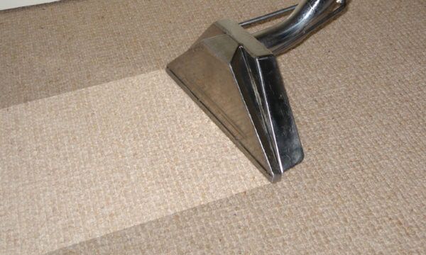 The Best Carpet Cleaning Services Absolute Kleen